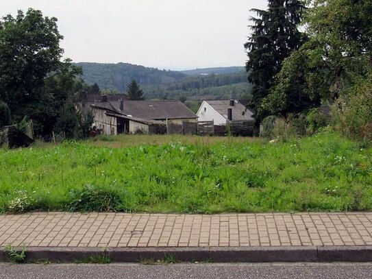 Schönes Grundstücke für Ihr Traumhaus im Kannenbäckerland - Verbandsgemeinde Höhr-Grenzhausen!