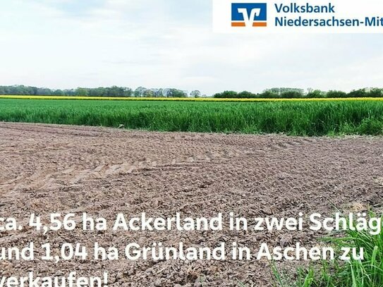 Ackerfläche und Grünland in Aschen zu verkaufen!!!