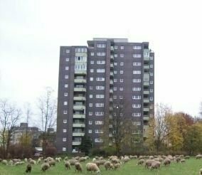 Freie1,5 Zimmerwohnung mit Balkon