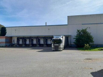 Für 2 Jahre !! 3640 m2 Logistikhalle / Mehrzweckhalle in Lenningen zu vermieten