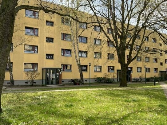 Vermietete 2 Zimmer Wohnung - am Volkspark Potsdam