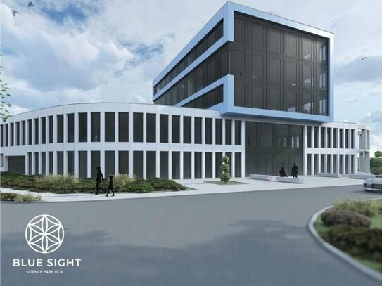 Blue Sight - change in workplace culture - Feng Shui Neubau im Science Park III