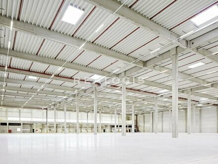 Wedel | ca. 15.000 m² Neubau | Produktions-/Logistikhalle