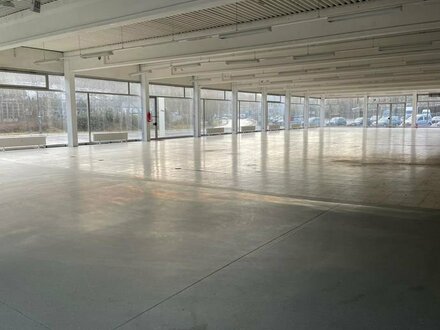 Helle Verkaufshalle / Showroom bis ca. 1200m²