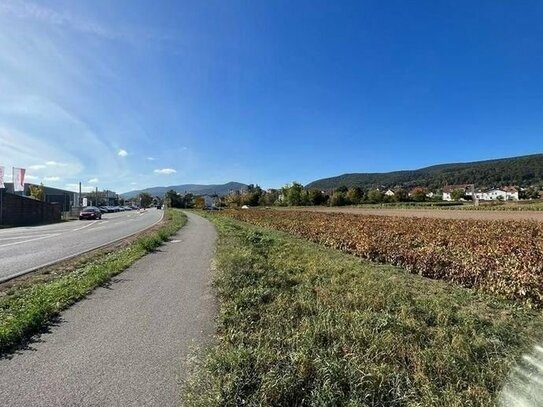 Neustadt an der Weinstraße zu erwartendes Bauland, Gewerbe-/Mischgebiet