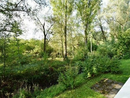 Entspannter Blick ins Naturschutzgebiet. Schöne und freundliche Praxis-/Kanzlei-/Büroräumlichkeiten in zentr. Lage.