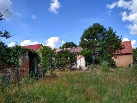 Baugrundstück aus Altersgründen zum Verkauf mit kleineren Altrestbeständen in Mecklenburg-Vorpommern