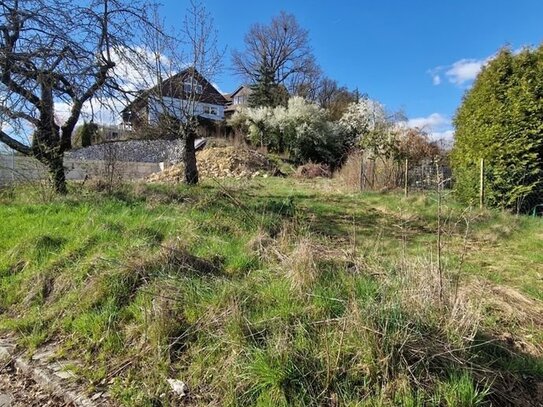 Schönes Grundstück im begehrten Lappersdorf für Ihr Einfamilienhaus!