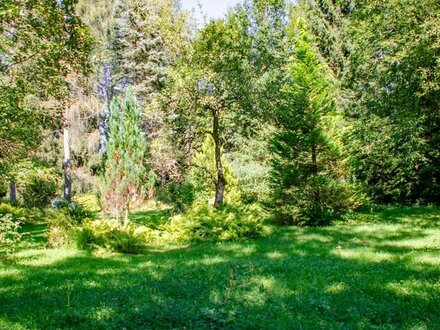 GRUNDSTÜCK IN IDYLLISCHER UND LÄNDLICHER LAGE WAAKIRCHEN - HAUSERDÖRFL