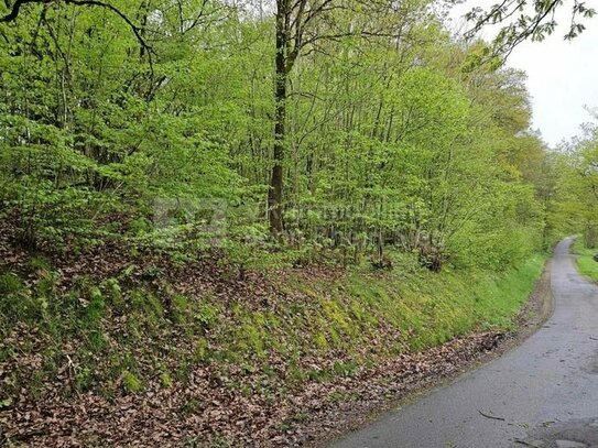 Baugrundstück mit Blick auf Windeck-Rosbach!