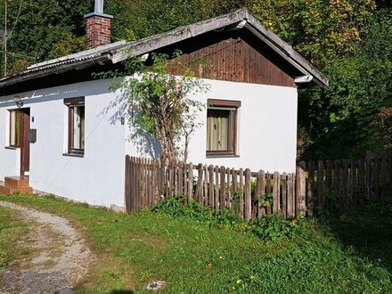 Sanierungsbedürftiges Einfamilienhaus in ruhiger Lage am Waldesrand