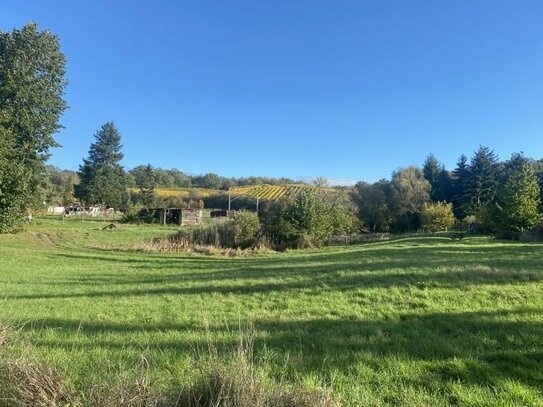 Ländlich gelegenes Baugrundstück für ein Einfamilienhaus in Niederau