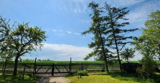 PFERDE IM GARTEN? BAUERNHOF**FERNBLICK**RANDLAGE