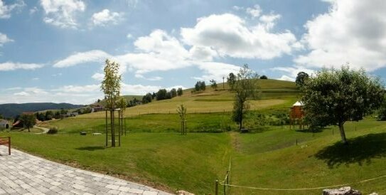 Frei stehendes Haus zum Ausbauen im Herzen des Dreiländerecks!