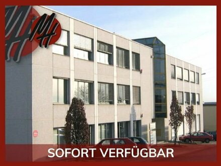 SOFORT VERFÜGBAR - Büroflächen (900 m²) zu vermieten