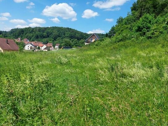 Naturnahes Grundstück für Ihren Traum vom Eigenheim