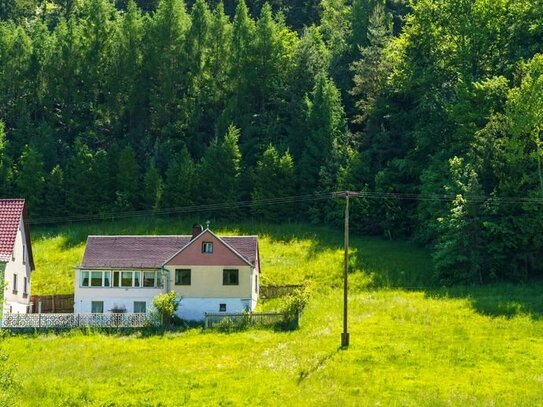 Wohnen in (fast) Alleinlage mit 1 Hektar Wald & Wiese - Naturnahes Einfamilienhaus zur Sanierung
