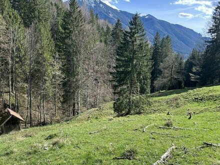 Wald und Grünland in attraktiver Höhenlage am Tegernsee