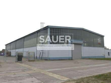 1.450 m² ebenerdige Kaltlagerhalle an der B1/B5 *1613*