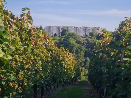 Große 4-Raum-Wohnung im herrlichem Ausblick