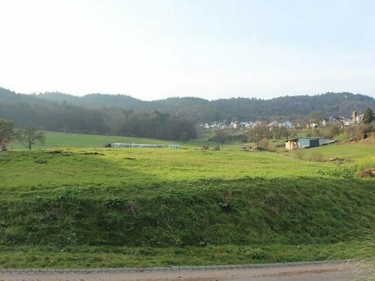 Tolles Voll erschlossenes Baugrundstück 13 km von Echternach in Schankweiler