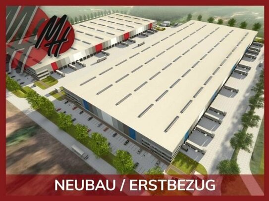 NEUBAU / ERSTBEZUG - RAMPE + EBEN - Lager-/Logistik (40.000 m²) & optional Büro zu vermieten