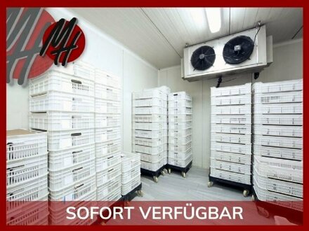 SOFORT VERFÜGBAR - Lager-/Kühllager (1.000 m²) & Büro-/Sozial (200 m²)