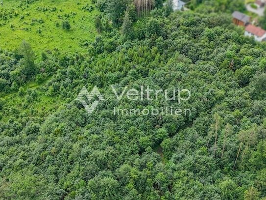 KUCKUCK - GEPFLEGTES WALDGRUNDSTÜCK IM RAUM WÖRTHSEE