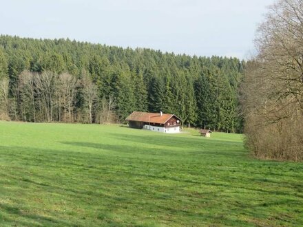 Ehem. Anwesen - Alleinlage - absolut ruhige und sonnige Höhenlage mit Blick zum Arber zw. Viechtach u. Sankt Englmar