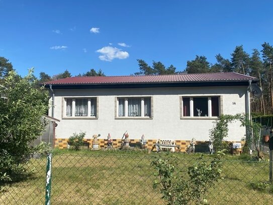 Natur pur! Ihr neues Zuhause im brandenburger Wald-Idyll.