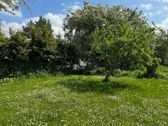 Gepflegte Doppelhaushälfte in Neuenkirchen