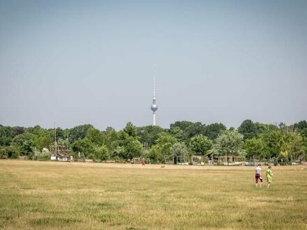 Kapitalanlage mit 2 Zimmern und Terrasse in ruhiger & beliebter Lage in Britz