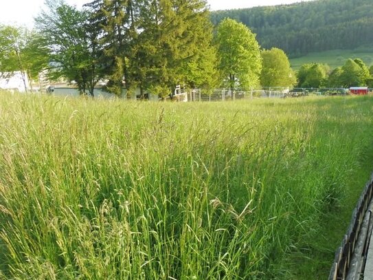 Baugrundstück für Einfamilienhaus in Albstadt-Pfeffingen