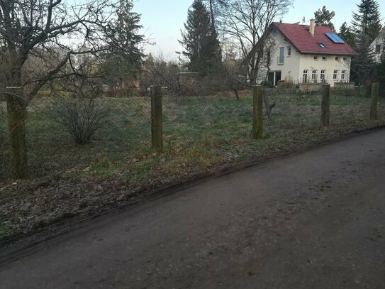 Baugrundstück von privat in Stadt Treuenbrietzen zu verk.