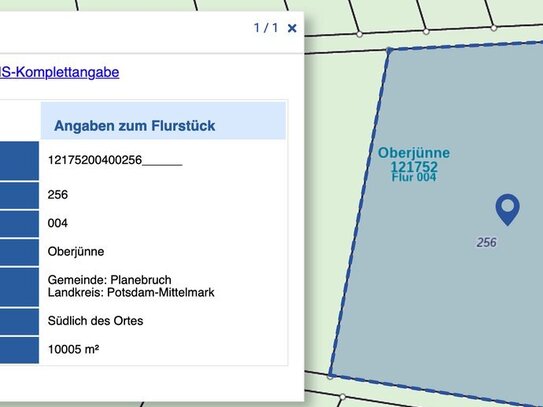 Land und Forstwirtschaft in Oberjünne (14822)