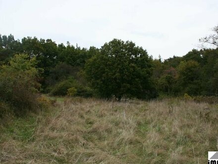 schönes Wiesengrundstück zwischen Dürrmenz und Niefern auf Höhe Enzberg