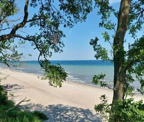 Luxuriöser Strandbungalow in Heiligenhafen: Ihr Exklusives Traumdomizil als Ferienhaus oder Eigenheim am Strand! Inklus…