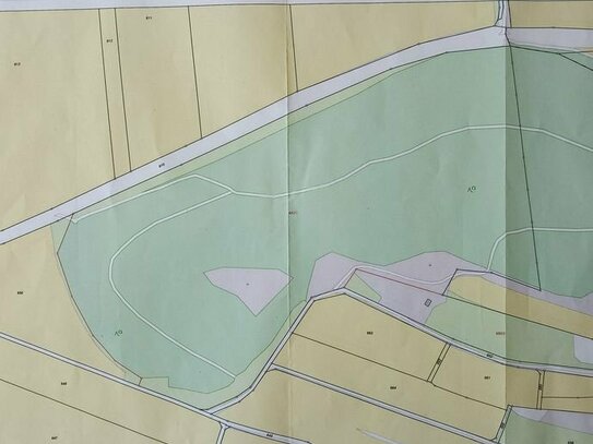 Kleinsorheim: Forstwirtschaftsfläche, Heide, Grünland, Weg