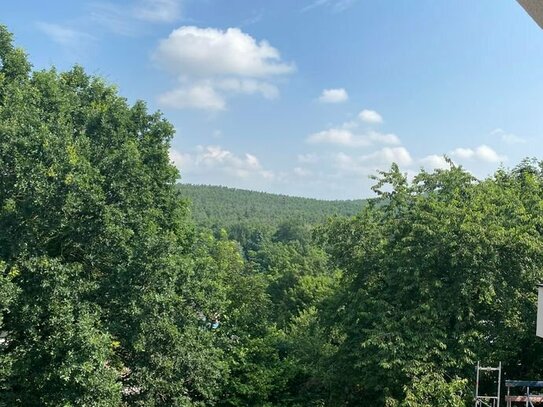 Einmalige Aussicht - Exklusives Einfamilienhaus in bester Lage auf dem Erlanger Burgberg