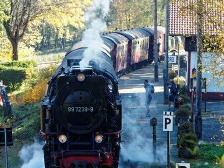 Schöne Pension mit Gaststätte oder Cafe Im Oberharz in der nähe von Braunlage !!!!