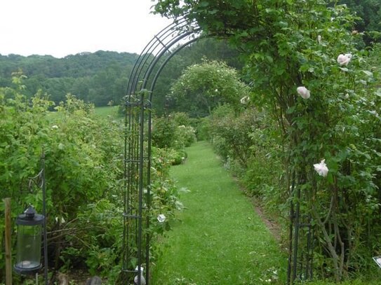 Parkähnliches Grundstück (kein Baugrund) in Flachslanden/OT