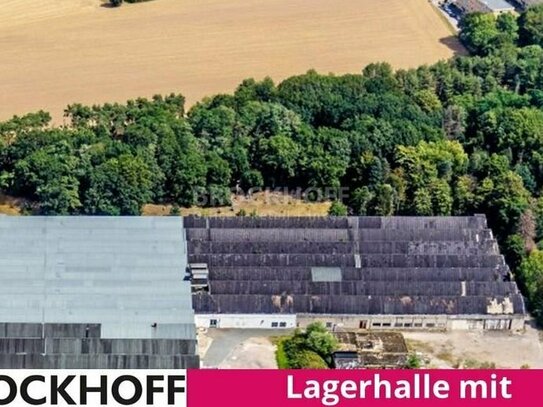 Alleinauftrag | Rheinberg | großzügige Lagerhalle auf knapp 10.000 m²