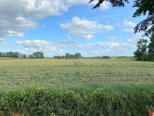 Ca. 4,6 ha Ackerfläche in Haren-Rütenbrock zu verkaufen