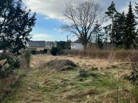 Sonniges Baugrundstück direkt am Waldrand