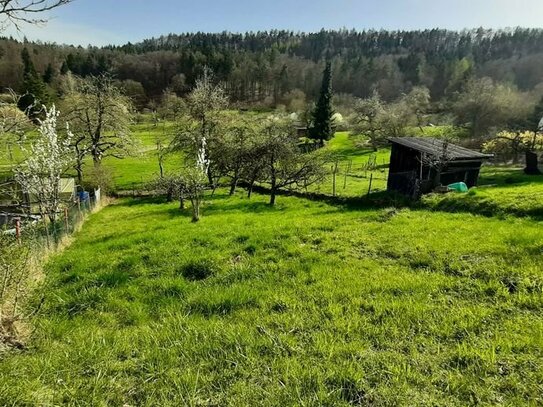 Obere Feinau - ruhig gelegenes Gartengrundstück