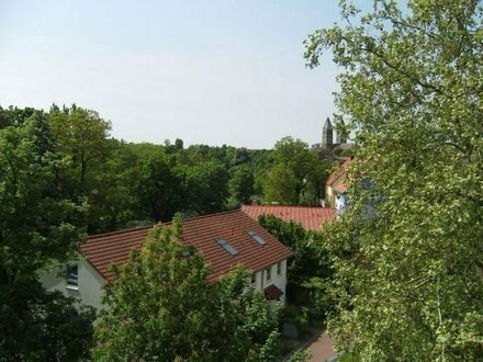 schöne,helle 2 Zimmerwhg,Südostbalkon,Wohnküche mit neuer Einbauküche,teilmöbliert,neues Laminat,Tageslichtbad,Hausgart…