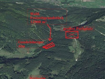 Sehr schönes Wald - Forstgrundstück mit teils 100 jährigen Baumbestand und eigener Zufahrt zu verkaufen.