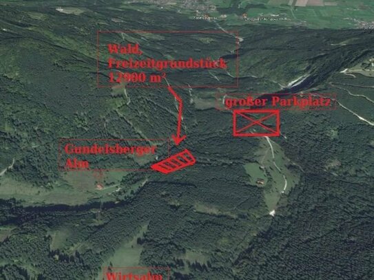 Sehr schönes Wald - Forstgrundstück mit teils 100 jährigen Baumbestand und eigener Zufahrt zu verkaufen.