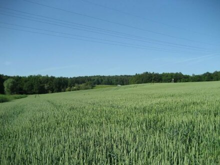 Ackerland in Rheinland- Pfalz zu verkaufen