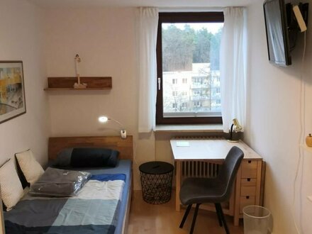Achtung: Kapitalanleger oder Eigennutzer! Möblierte, frisch renovierte 1 Zimmer Wohnung nahe Naherholungsgebiet in Sieg…